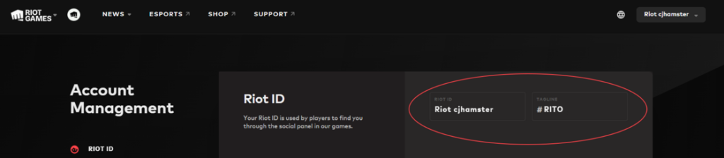 Có thể xem Riot ID trên trang chủ của Riot Games.

